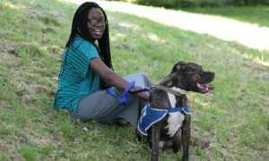theguardian.com Adewunmi