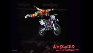 maximumwallpapers.com Adoptante