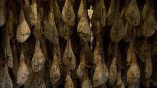 entornointeligente.com Agroalimentaria