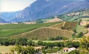 antropocene.it Agronomi