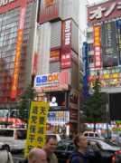 bugfox.net Akihabara