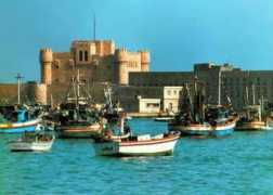 preferredegypt.co.uk Alexandria
