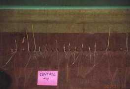 ovni.science.actuel.free.fr Amilk