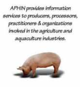 Aphin