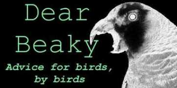 Beaky