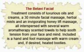 hollywoodhealinghands.com Belavi