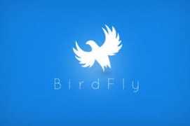 Birdfly