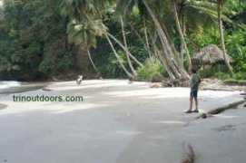 trinoutdoors.com Blanchi