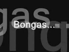 Bongas