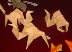 origami.ro Camile