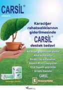 Carsil