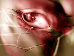 openvein.com Cautious