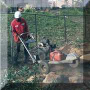homesteadtreeservice.com Dosko