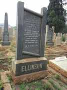 Ellinson