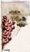 weingut-engist.de Engist
