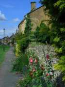 fotolibra.com Englandd