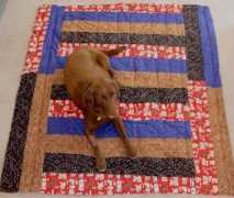shellyfrances.com Engler