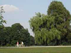 blog.sina.com.tw Englisher