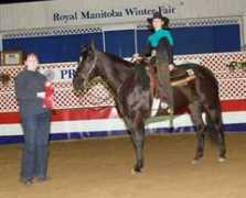 northernhorse.com Englot