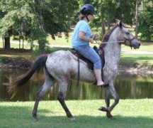 atigradoacres.com Engma