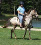 atigradoacres.com Engma