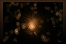 galerie.designnation.de Enlightment