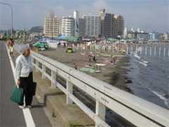 tamegoeswild.com Enoshima