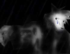 darkfurr.org Entery