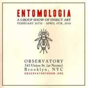 observatoryroom.org Entomologia
