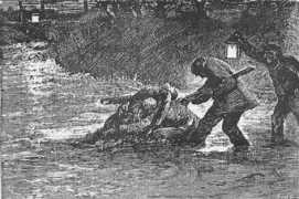 victorianweb.org Eustacia