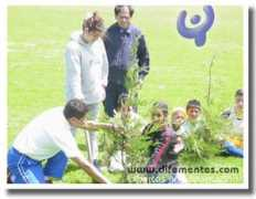 difementes.com Experiencial
