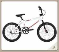 freeagentbmx.com Expert