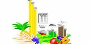 radiohrn.hn Exportacion