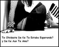 argumentacionypublicidad.bligoo.com Expresivo