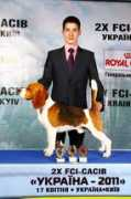 cats-dogs-ukraine.com Exstrim