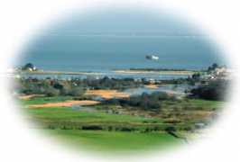 coastalwight.gov.uk Eyar