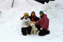sleddogcentral.com Feidler