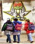 miftah.org Feidy