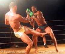 fcfighter.com Fontinelli