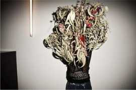 dresslab.com Foors