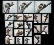 bardsculpturestudio.com Foosa