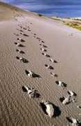 Footprints