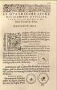 euclides.org Forcadel
