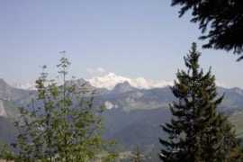 panoramio.com Forchat