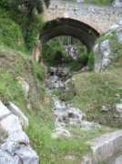 panoramio.com Forci