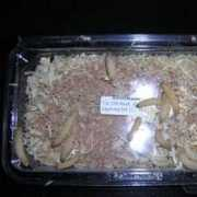 terravita-zuchtfarm.com Forelly