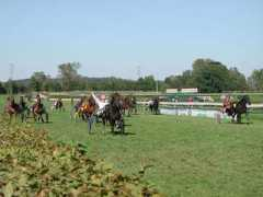 stallallegra.ch Forestan