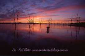 sweetwaterfishing.com.au Fyans