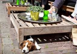 woneninamersfoort.nl Kraanen