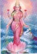 ikashmir.net Lakshmi